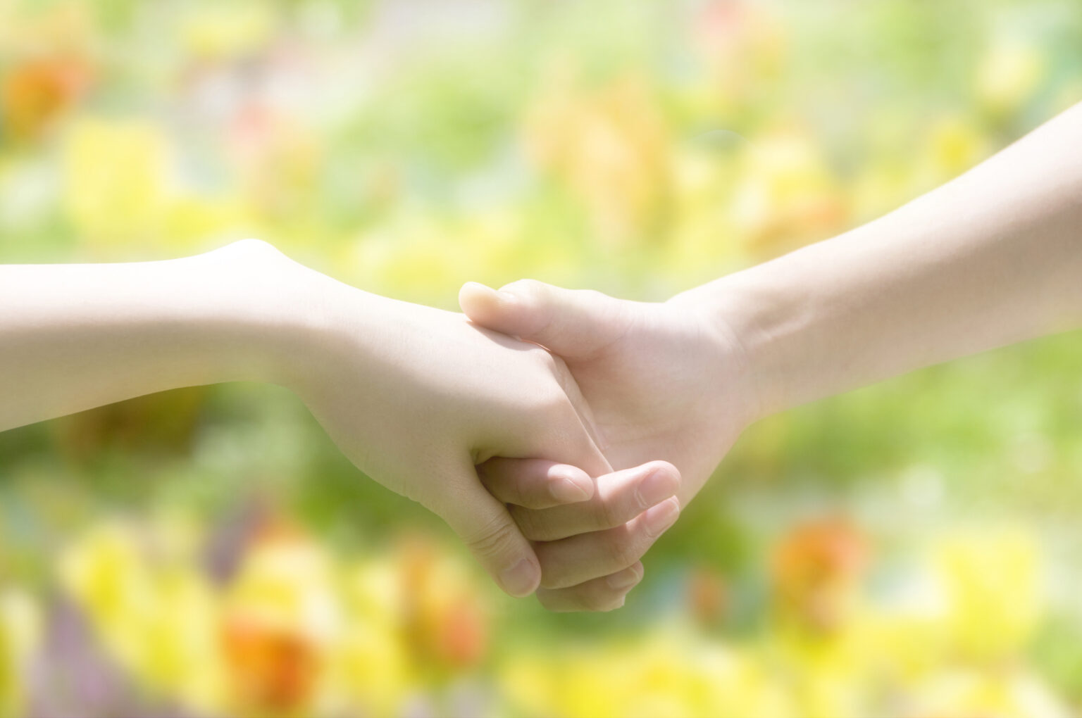 手をつなぐ あなたの人生を支えるバディ 手をつなぐ あなたの人生を支えるバディ